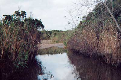 The End of the Path at Winnepaug Pond