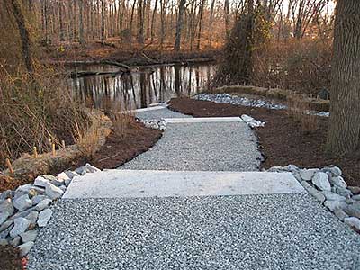 View Down the Path to the River