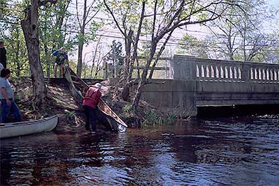 The Put-in below the East Main Street Bridge