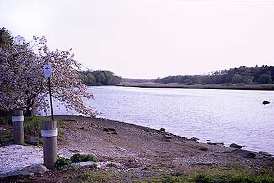 View Downriver from Berkely Bridge Park