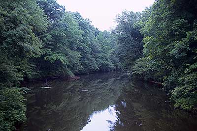 View Downriver from the Summer Street Bridge