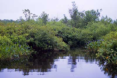 The Entrance to the Town River