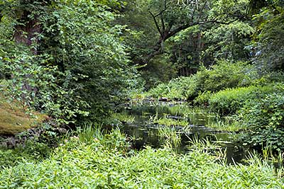 The River Below the Stone Bridge