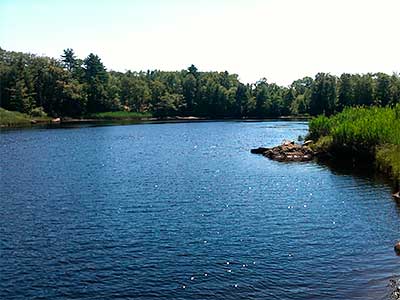 View Down River from the Boat Ramp