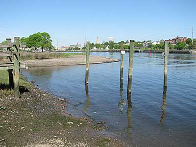 View South from the Boat Ramp