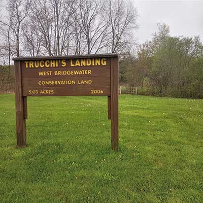 Trucchi's Landing